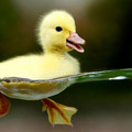 October-26-2011-01-23-42-tumblrlnt38vzWX81qk5yn3o11280.jpg