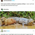apex predator.jpg