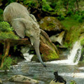 elephantkitten.jpg
