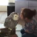girl kissing owl.mp4