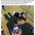 goat on back.jpg
