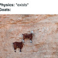 goats v physics.jpg