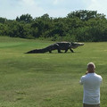 golf course hazard in florida.jpg