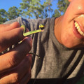 happy_snake.jpg