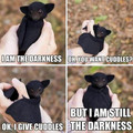 i am the darkness.jpg