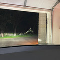 interesting-not-photoshopped-photos-56-6744412ac8bfe__700.jpg