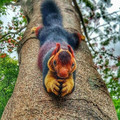 main-qimg-7867ab87f7d3d20d7bee154290fe2a0b-lq.jpeg