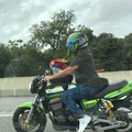 parrot motorcycle.jpg
