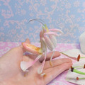 praying_mantis.jpg