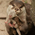 proud-mom.jpg