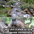 river flowing.jpg