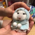 rodent2.jpg