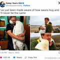 swan hug.jpg