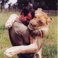 tiger_missed_man.jpg