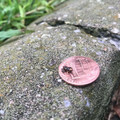 tiny_frog.jpg