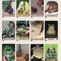 turtle_tarot.jpg