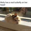 wholesome-uplifting-memes-6-67bc42199013a__700.jpg