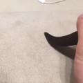 why is my pencil talking -- otter.mp4