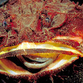 030804PW_03_leslie_lg.jpg