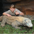 090703_bindi-irwin-launches-australia-zoos-new-colossal-komodo-dragon-experiences.s800x800.jpg
