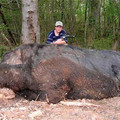 221052507monsterpigxc5.jpg