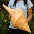 23.6-inch-5-28-1.jpg