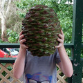 5d273ec843c99_lxbn6oZzM4e_2XBU9JxKF5ub_SYUvPIwE1qimhWUc7k_605.jpg