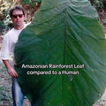681373af4cdaf_everything-interesting-posts.jpg
