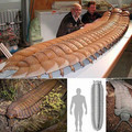 Arthropleura_Millipede.jpg