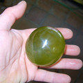 Valonia_Ventricosa_single-celled_organism_.jpg