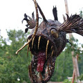 angler.jpg