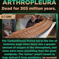 arthropleura_3.jpg