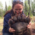 bear_paw.jpg