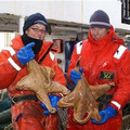 biggest-animals161-600x400.jpg
