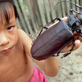 biggest-animals18-600x400.jpg