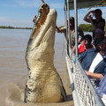 croc.jpg