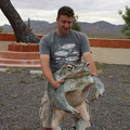 frog 3.jpg