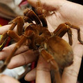 galleryimage-1081102656-jan-27-2012-600x417.jpg