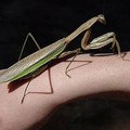 galleryimage-1890778225-jan-27-2012-600x450.jpg