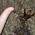 galleryimage-938570407-jan-29-2012-600x450.jpg