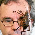 galleryimage1464162731-jan-27-2012-600x782.jpg