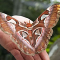 galleryimage502291947-jan-29-2012-600x401.jpg