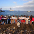 giant_oarfish.jpg