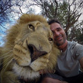 lion.jpg