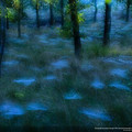 main-qimg-292c51b2204eab82c8ac8384878207ab-lq (1).jpeg