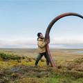tusk of whoolly mammoth.jpg