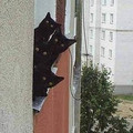 untitled7.JPG
