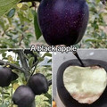 681373c99625e_everything-interesting-posts.jpg