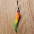 chili_pepper.jpg