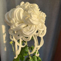 flower 4.jpg